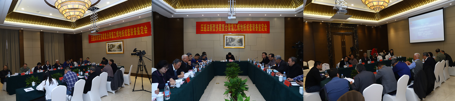 2019.3成果鉴定会